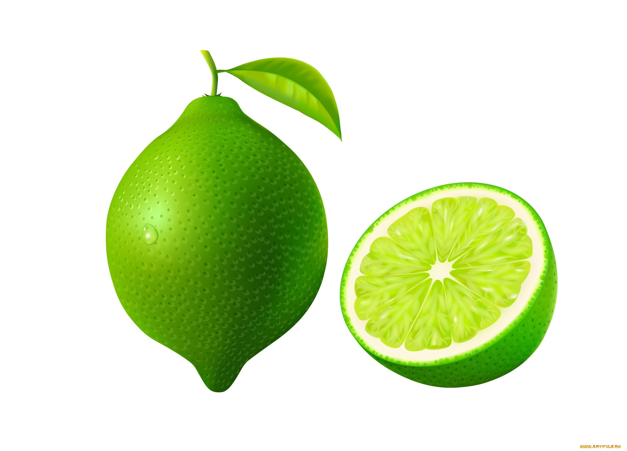  ,  , food, , 